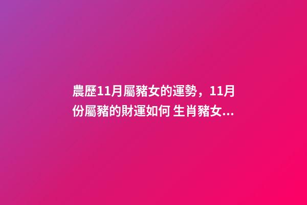 農歷11月屬豬女的運勢，11月份屬豬的財運如何 生肖豬女的一生命運-第1張-觀點-玄機派